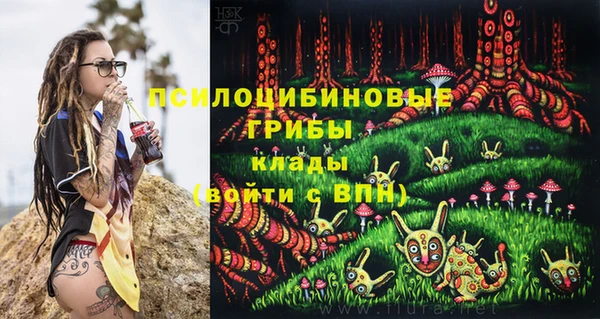 молекула духа Тавда