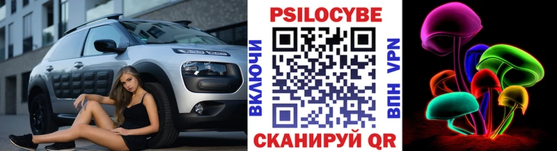 Псилоцибиновые грибы мицелий  где купить наркоту  blacksprut зеркало  Старая Купавна 