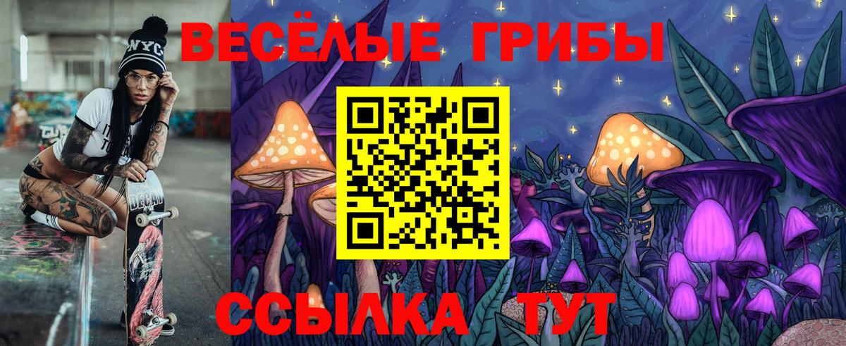 Галлюциногенные грибы Psilocybine cubensis Старая Купавна