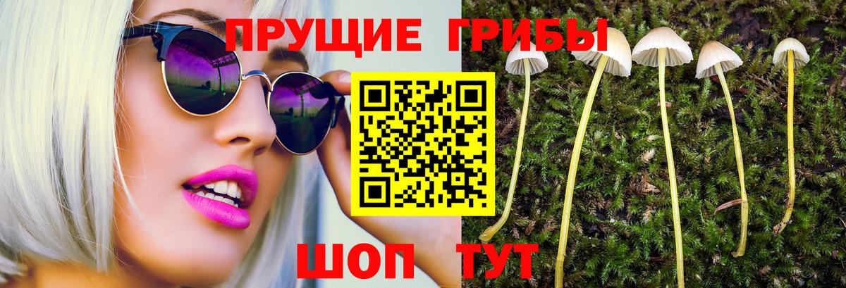 где купить   Галлюциногенные грибы мухоморы  Вход с VPN  Псилоцибиновые грибы MAGIC MUSHROOMS  Старая Купавна 