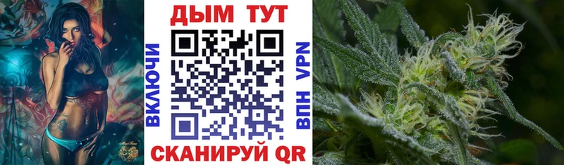 Канабис сатива  где купить наркоту  Старая Купавна 